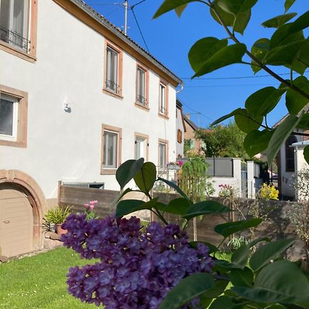Gite Le 1602 Saint-Nabor Bagian luar foto