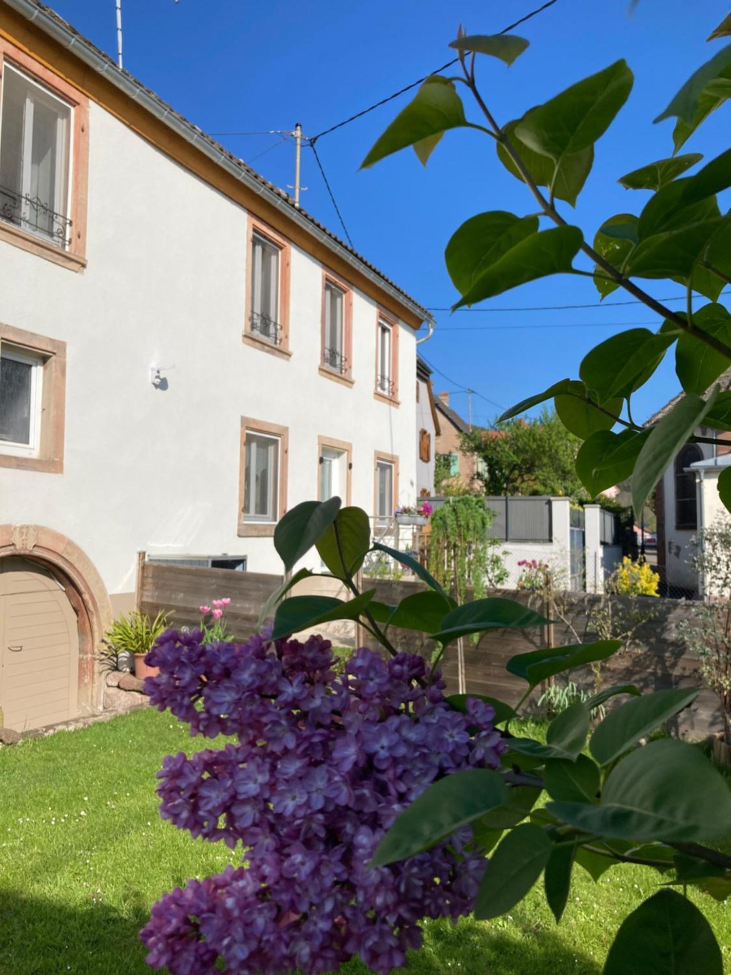 Gite Le 1602 Saint-Nabor Bagian luar foto