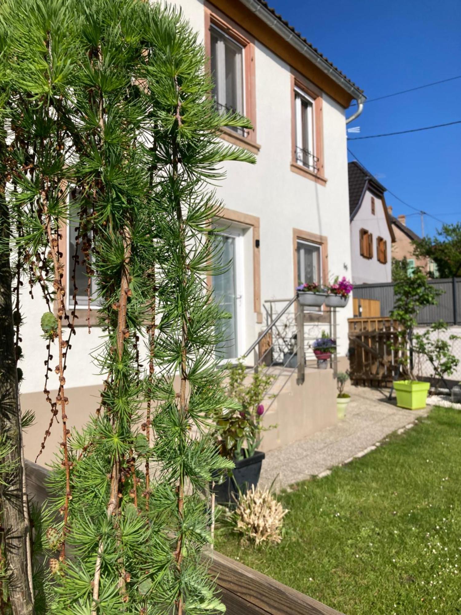 Gite Le 1602 Saint-Nabor Bagian luar foto